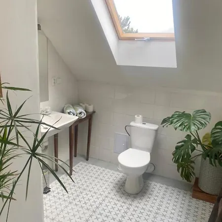 乡村民宿 Dvorec *